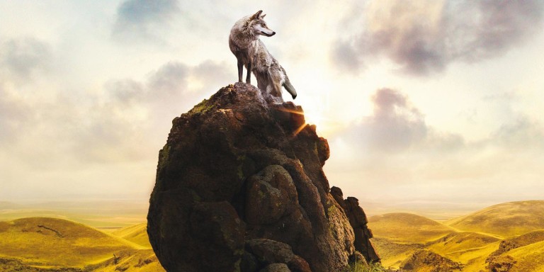 Le dernier loup, un film de Jean-Jacques Annaud : Critique