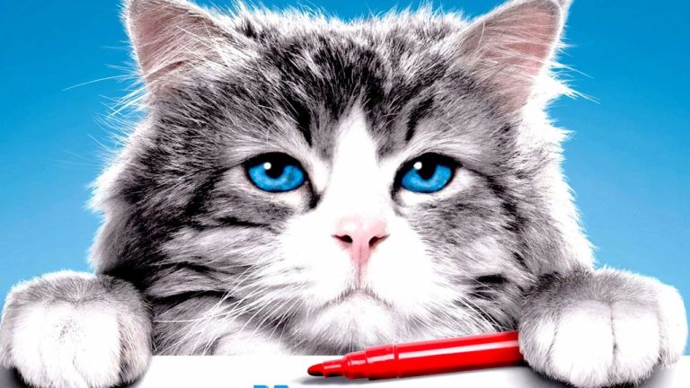 Ma vie de chat, un film de Barry Sonnenfeld : Critique