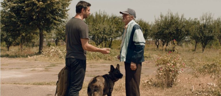 Dogs, un film de Bogdan Mirică : critique