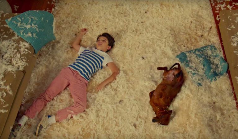 Le Teckel de Todd Solondz en compétition à Deauville