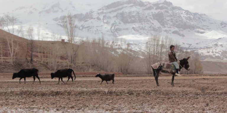 Wolf and Sheep, un film de Shahrbanoo Sadat : Critique