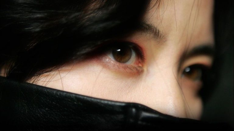 Festival Lumière 2016 : Lady Vengeance, tuerie et châtiment…
