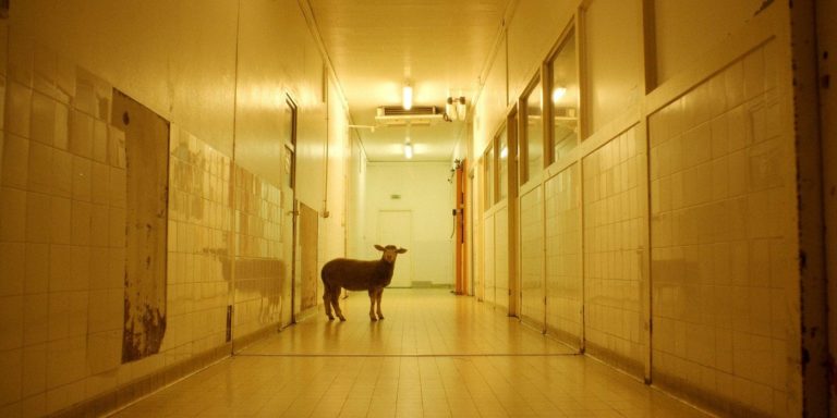Gorge Coeur ventre, un film de Maud Alpi : Critique