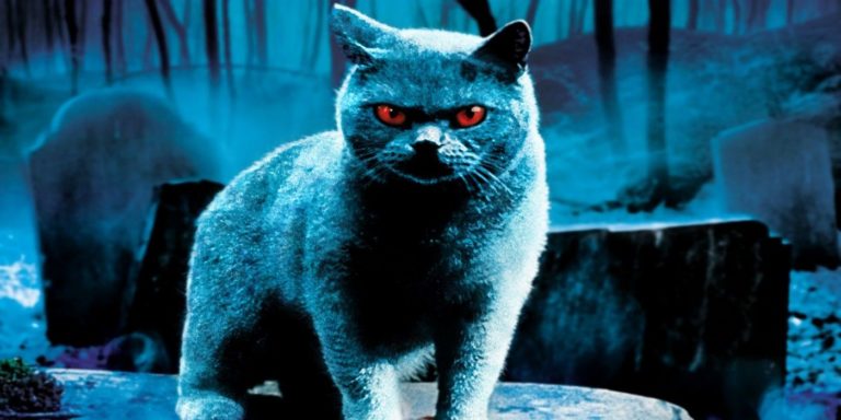 Rétro Stephen King : Simetierre, de Mary Lambert