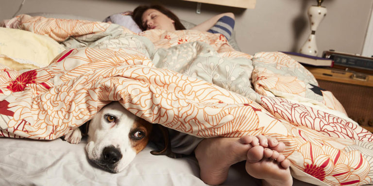 Séries Mania : Downward Dog, une série qui a du chien