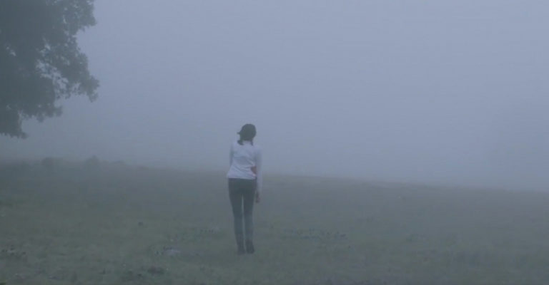 La Région Sauvage, un film d&rsquo;Amat Escalante : Critique