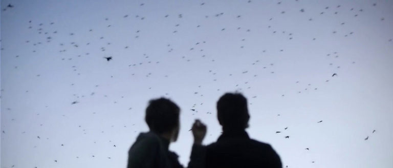 Upstream Color de Shane Carruth, une romance aux confins des sens