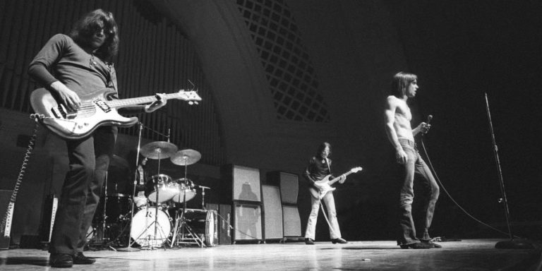 Sortie DVD/Blu-Ray du documentaire Gimme Danger de Jarmusch sur les Stooges