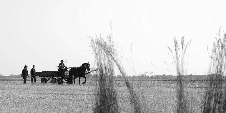 La juste Route, de Ferenc Török : Noir comme le souvenir