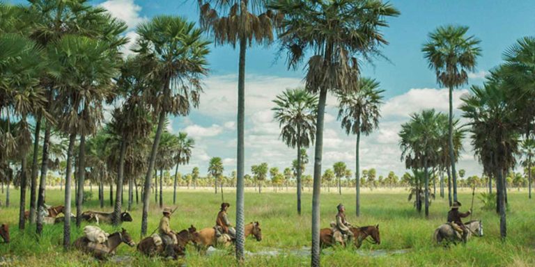 Cinélatino 2018 : Le palmarès de cette 30ème édition