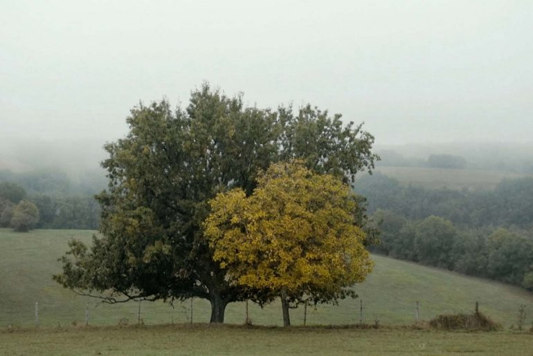 L’homme qui penche : poésie du rien, du tout…