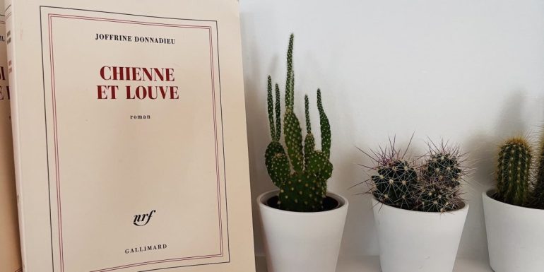 Chienne et louve : un roman aussi noir que lumineux