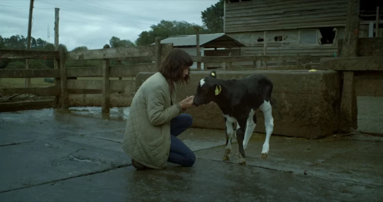 La vache qui chantait le futur : les bons vivants