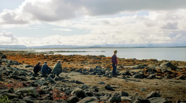 Les Belles Créatures de Gudmundur Arnar Gudmundsson : les enfants des toits