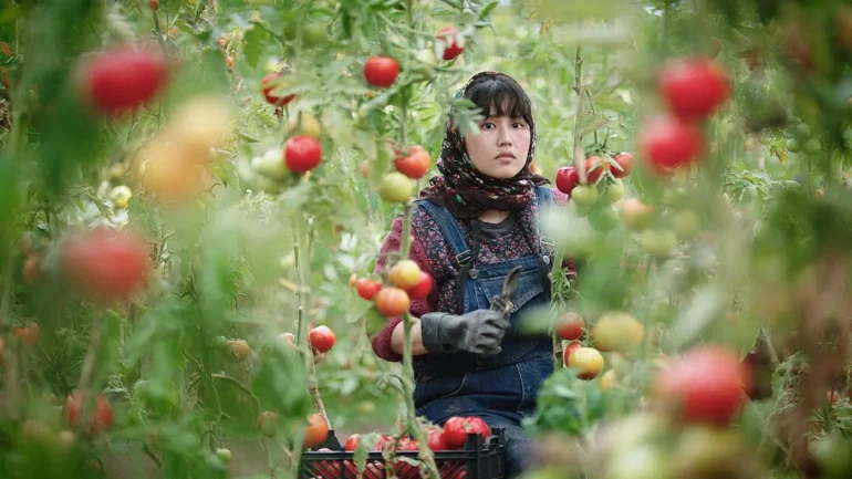 Arras Film Festival, 25ème édition : Partir un jour, sans retour