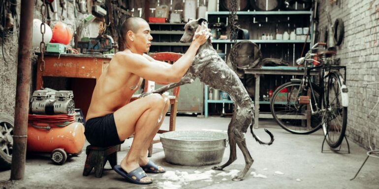 Black Dog  de Guan Hu : un récit lumineux, sobre et puissant