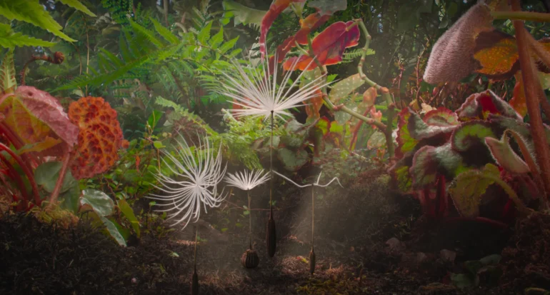 Cannes 2025 : Planètes, l’odyssée de la nature
