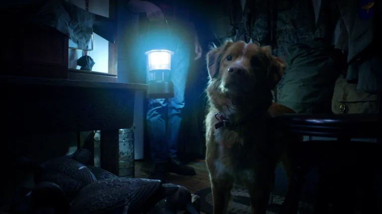 Good Boy : l’appel de l’être hanté
